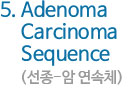 5. Adenoma Carcinoma Sequence